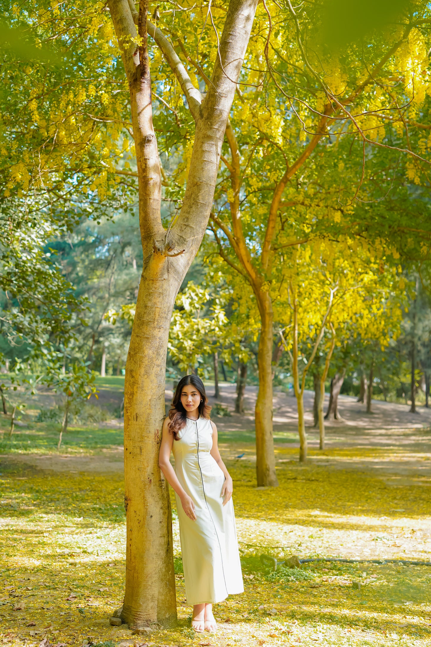 Butterline Dress