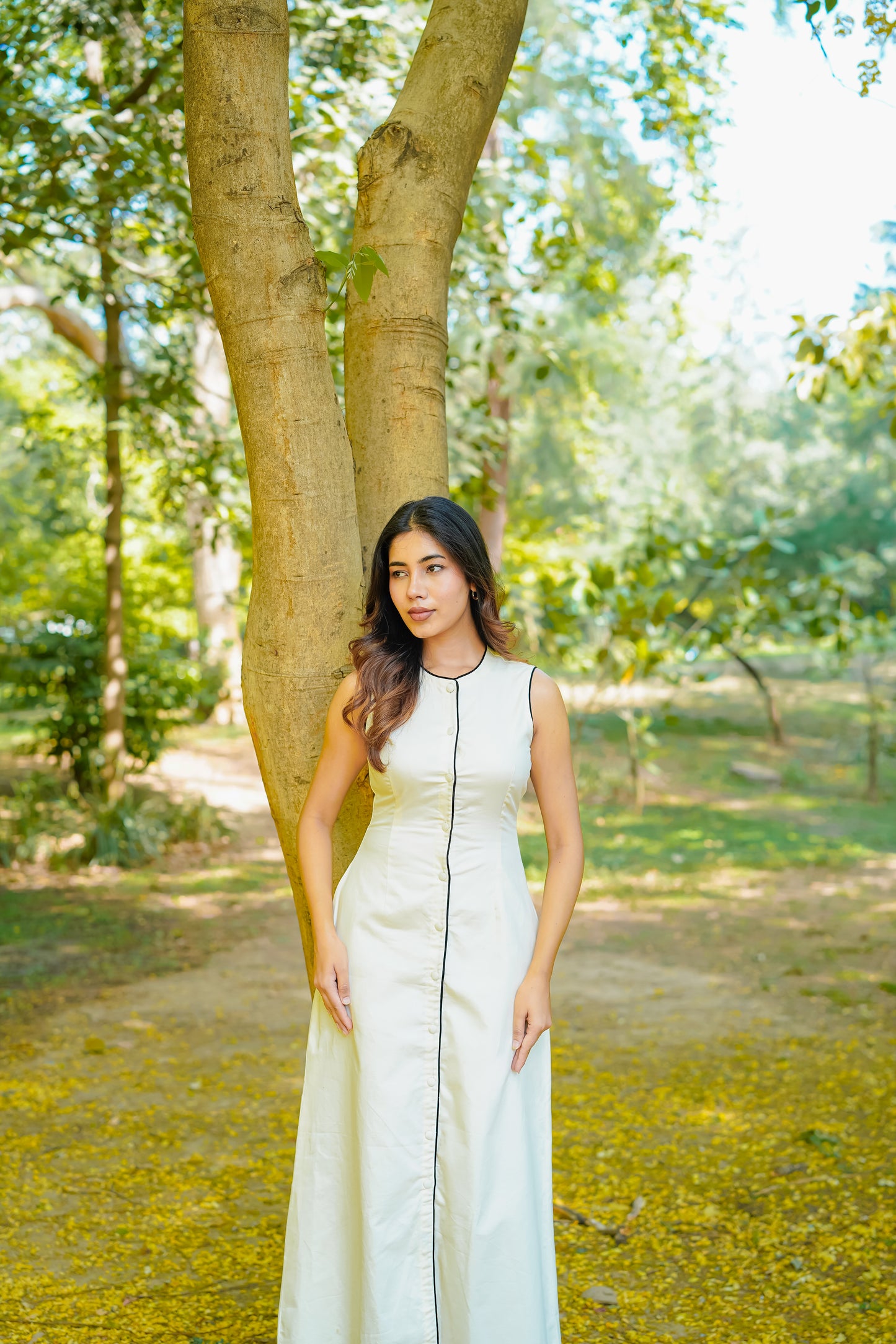 Butterline Dress